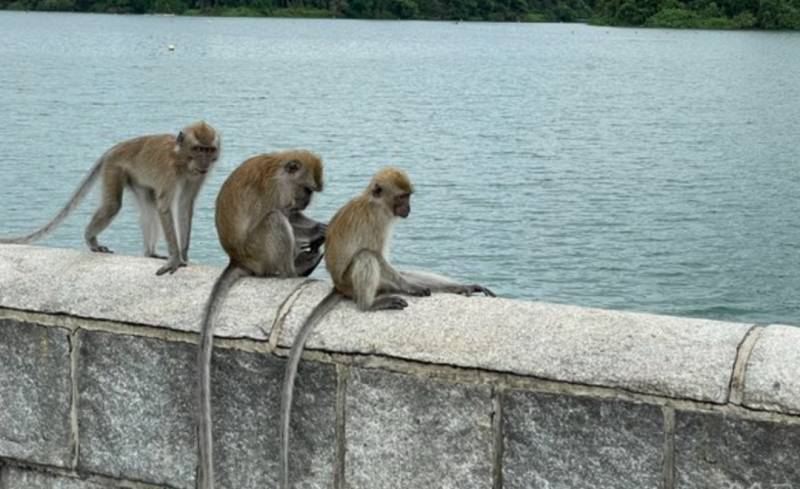 新加坡最美徒步路线盘点,一起来拥抱假期吧