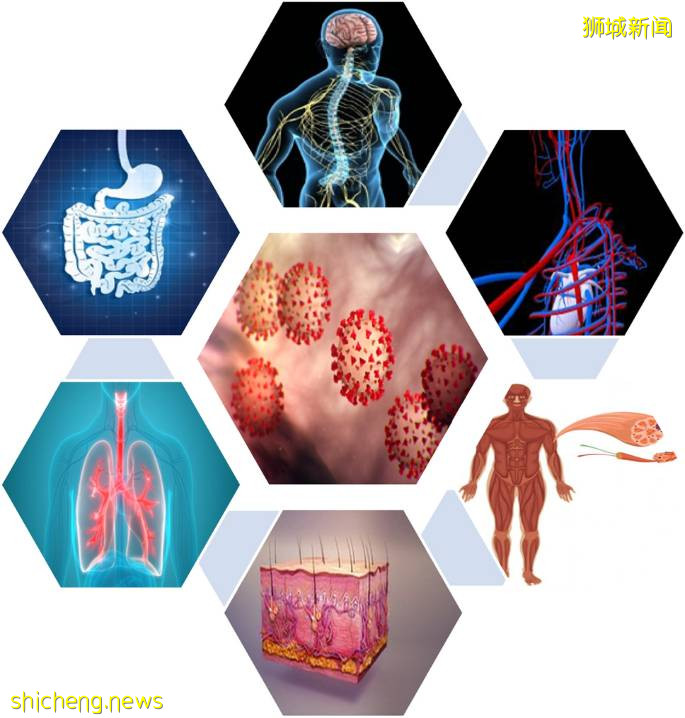 爆！牛車水2所幼兒園出現感染群！新加坡最新研究：說話、呼吸也能傳播病毒