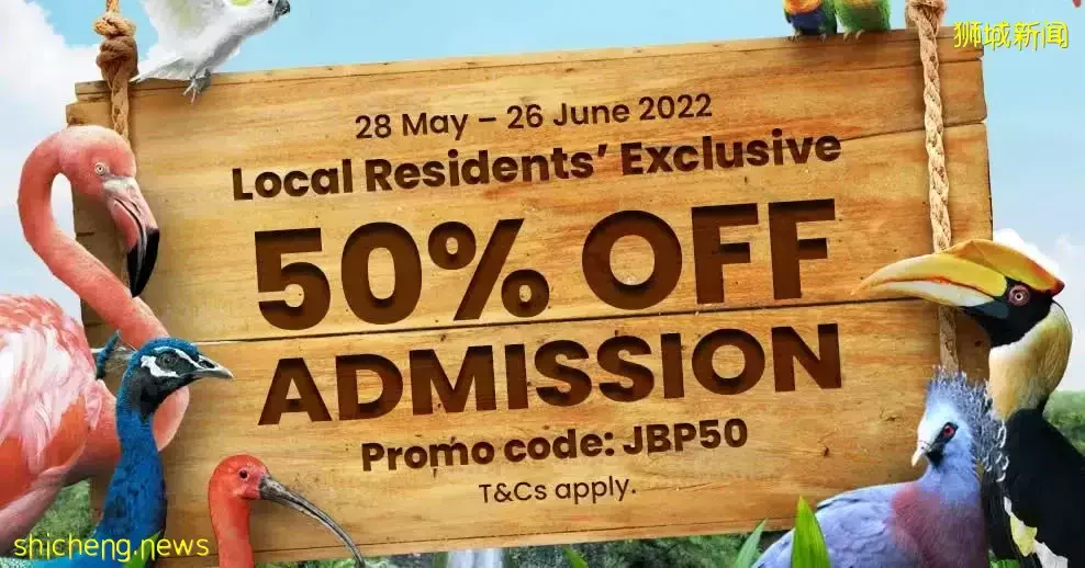 新加坡夜間嘉年華!燈光秀!$42濱海灣年卡!機場滑雪!$288機票大促