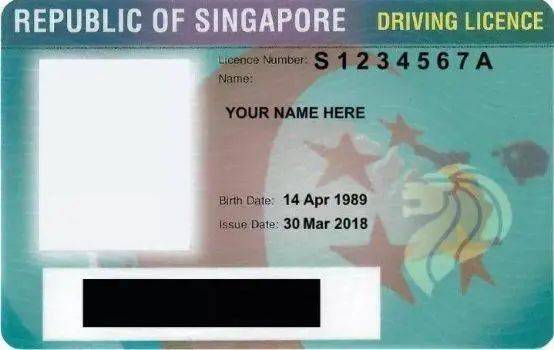 狮城攻略:论国际护照的转换流程