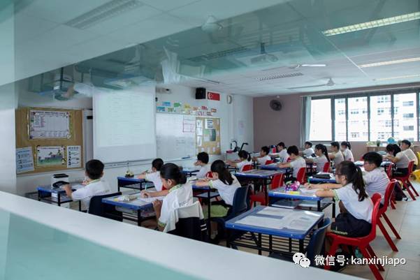 在新加坡怎么过儿童节?10个遛娃地点带你飞起