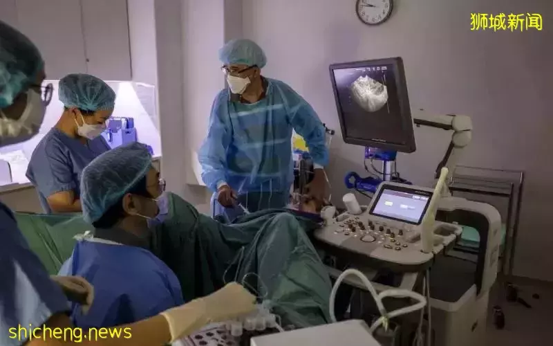 新加坡允许未婚女性做冻卵! 附费用和流程指南