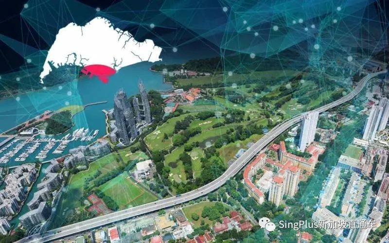 新加坡的野生动物也太不好惹了吧