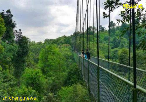 來新加坡玩刺激,一定不能錯過麥裏芝!