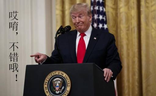 新加坡裸背女骑单车上快速路“飙车”,网友:裸奔也不想看你