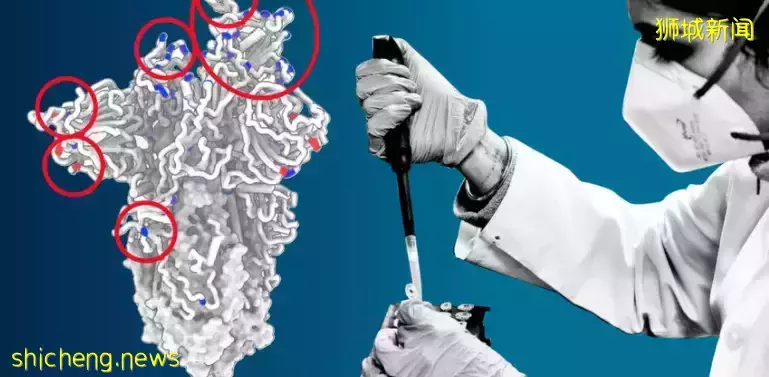 部长:本地几周内或迎来新一轮、更大规模感染!英国突然官宣“躺平”,新加坡会跟进吗