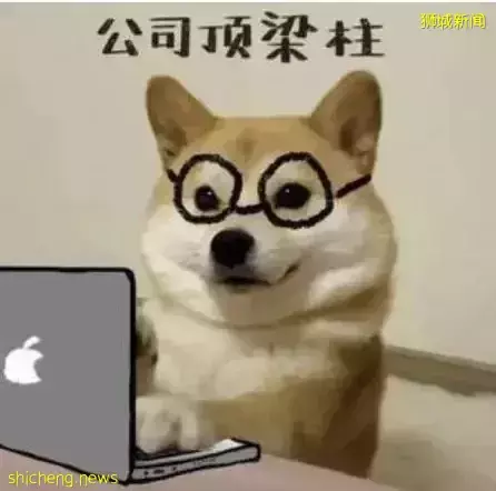 新加坡，是否会取代香港“亚洲金融中心”的地位