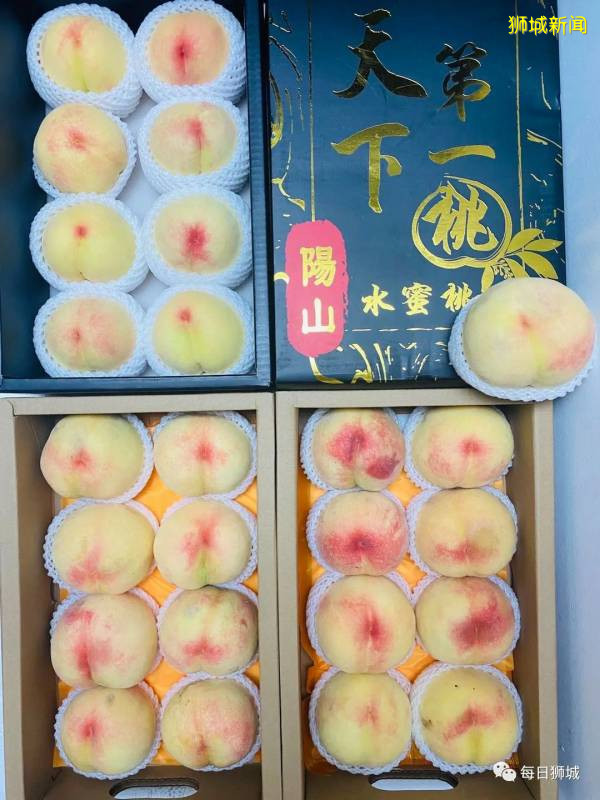 來自東北,空降新加坡!蟠桃,油桃和夏黑,跟熱帶水果說拜拜