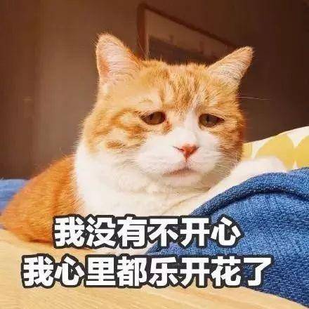 新加坡，一个让我还没出发就respect的国家！新加坡亲子游攻略之前期准备篇