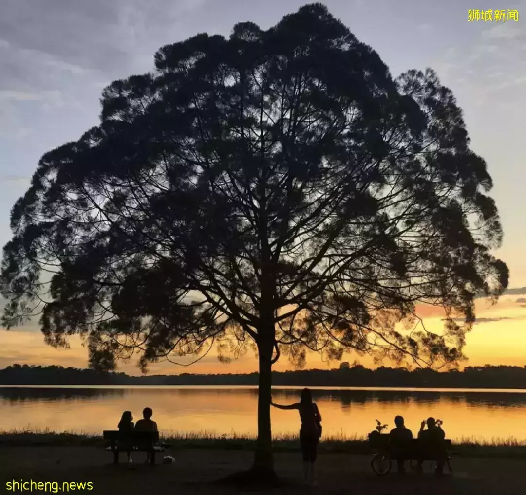 假期出遊 新加坡那些鮮爲人知的“寶藏”勝地