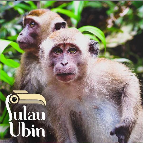 點擊領取迪士尼最新動畫電影《尋龍傳說》同款探險指南