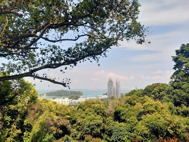 新加坡旅行|6天5晚奇遇狮城的日与夜