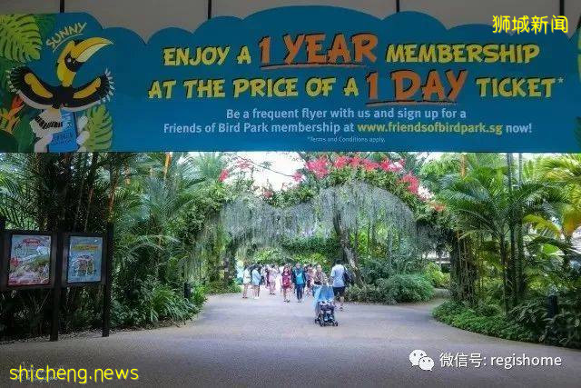 关于新加坡,你不知道的10个小趣闻