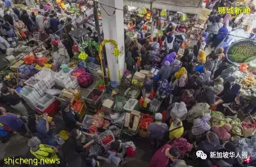 越“躺平”越繁荣?新加坡大解封万人聚会,出入境人潮爆满