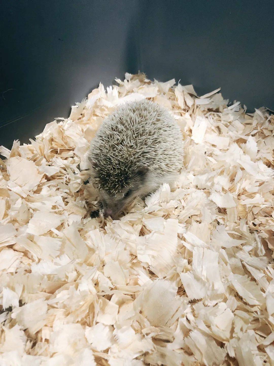 新加坡遛娃新去处!到河川生态园喂海牛,给孩子不一样的staycation