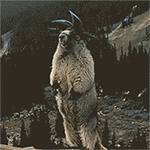 新加坡跨年倒计时“四”，如何在网红打卡地拍出惊艳的网红旅行照