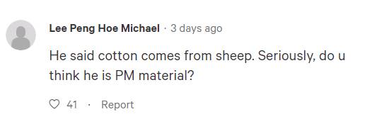 陈振声最有可能成总理接班人?新加坡网上支持者VS反对者吵起来了