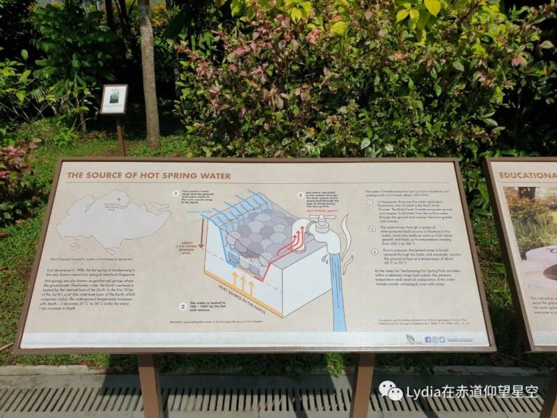 新加坡也有溫泉 三巴旺溫泉公園