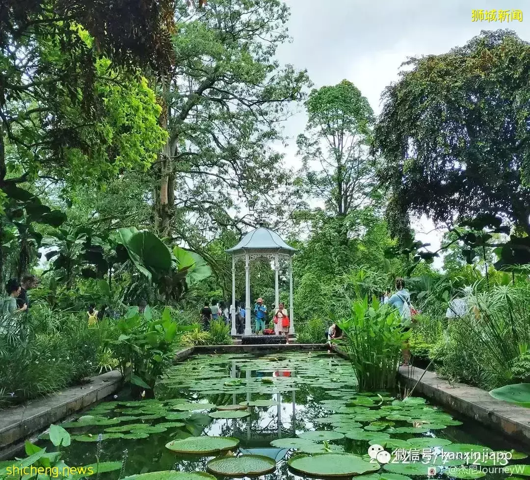 “游览总统府巧遇新加坡总统！她竟然还和我合照”