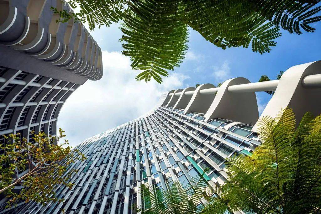 新加坡私立医院为何能与政府医院平分秋色