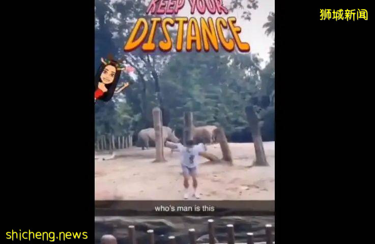 新加坡19岁网红涉嫌虐死青蛙、擅闯犀牛展区,直接被“下狱”