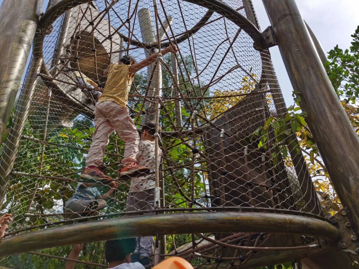 新加坡植物園爆火新景點,不知道怎麽去?手把手教你遊玩攻略