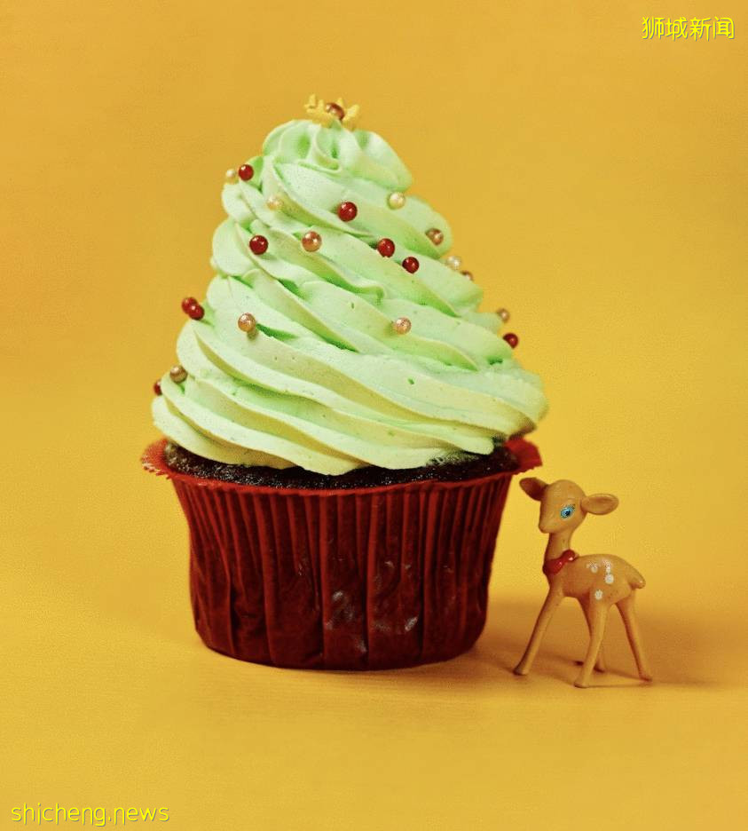 抢位!上次抢光了的新加坡圣诞节亲子活动,又开新的名额啦