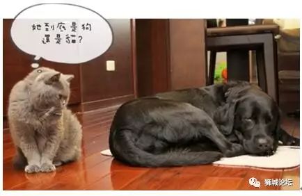 想要拥有好睡眠？睡前一定不要做这7件事~~