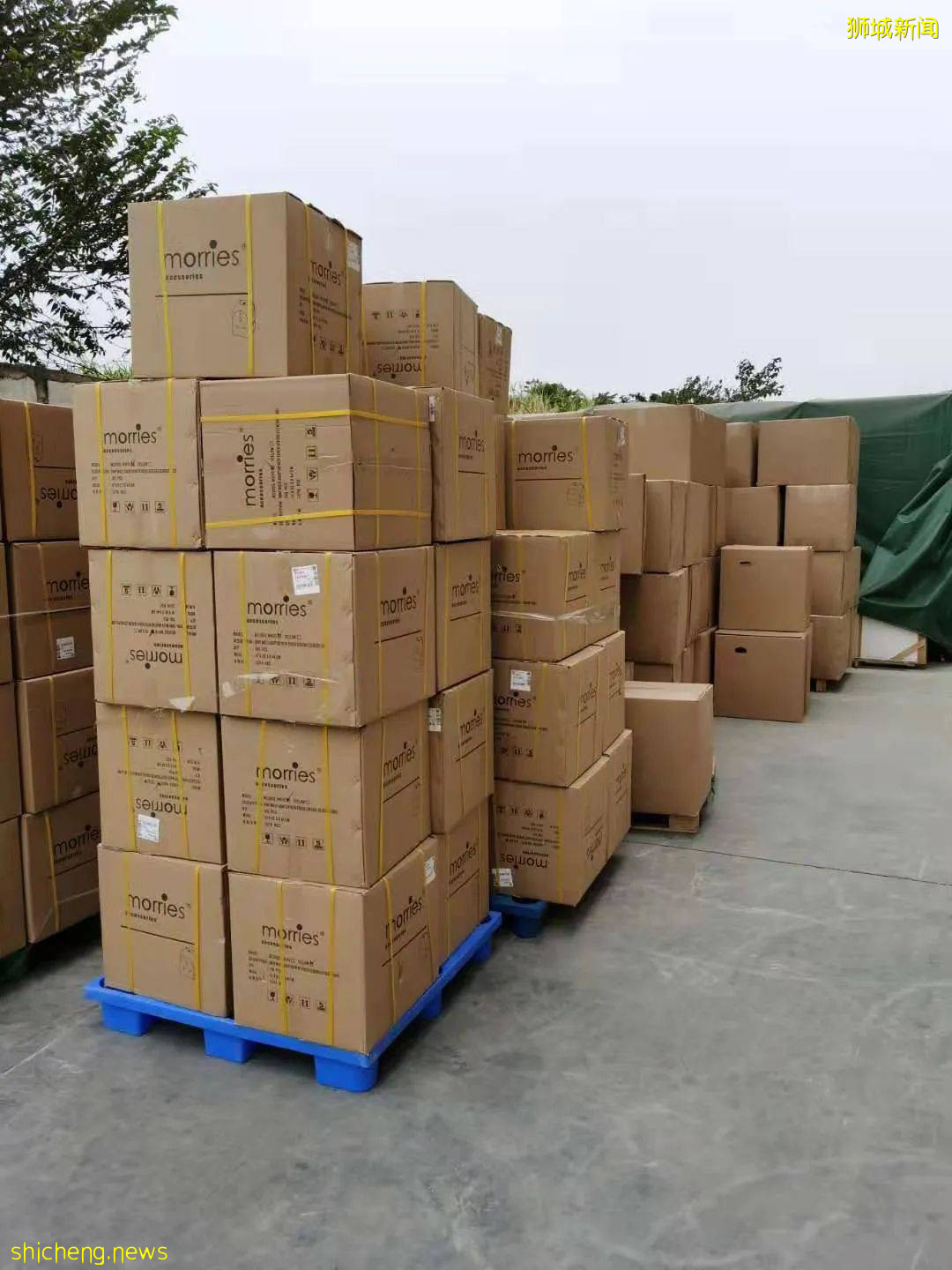 新加坡疫情反弹难回国！这家国际物流公司可免10公斤运费！空运海运一律8折