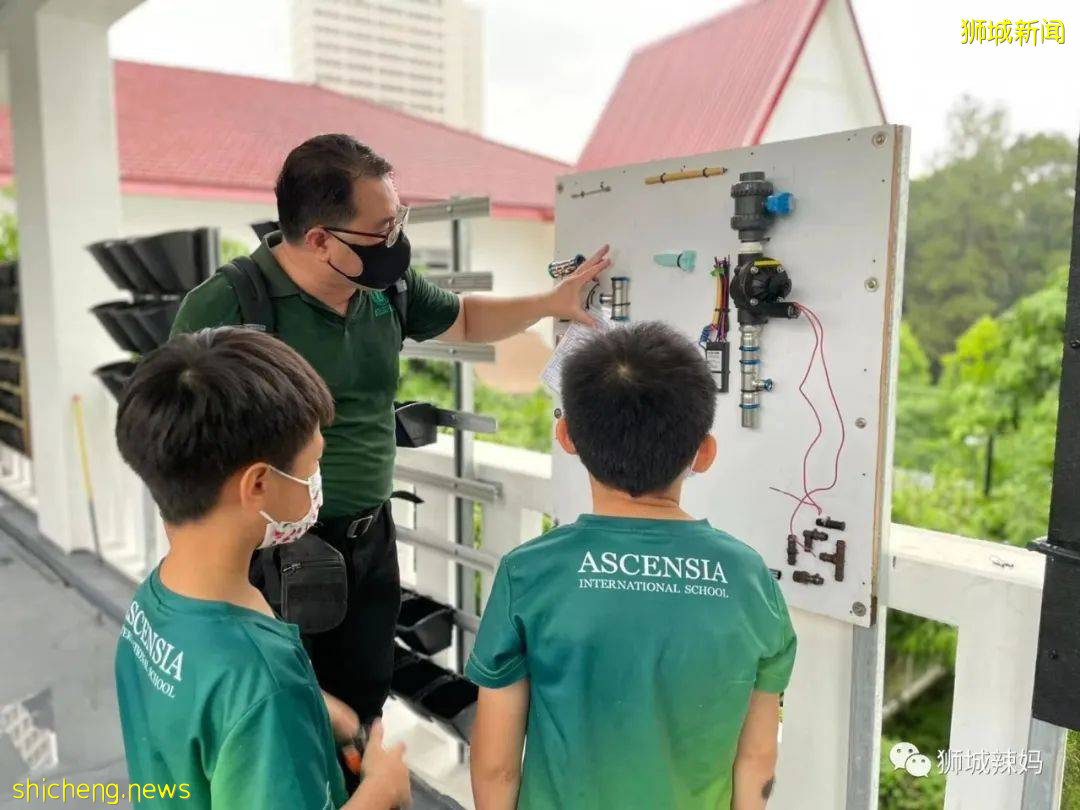 留学新加坡需要多少钱?你可能会吓到