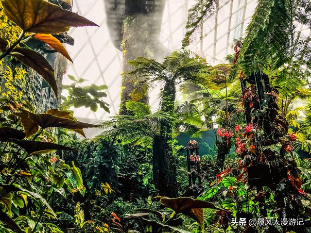 漫遊新加坡,帶孩子去哪玩?