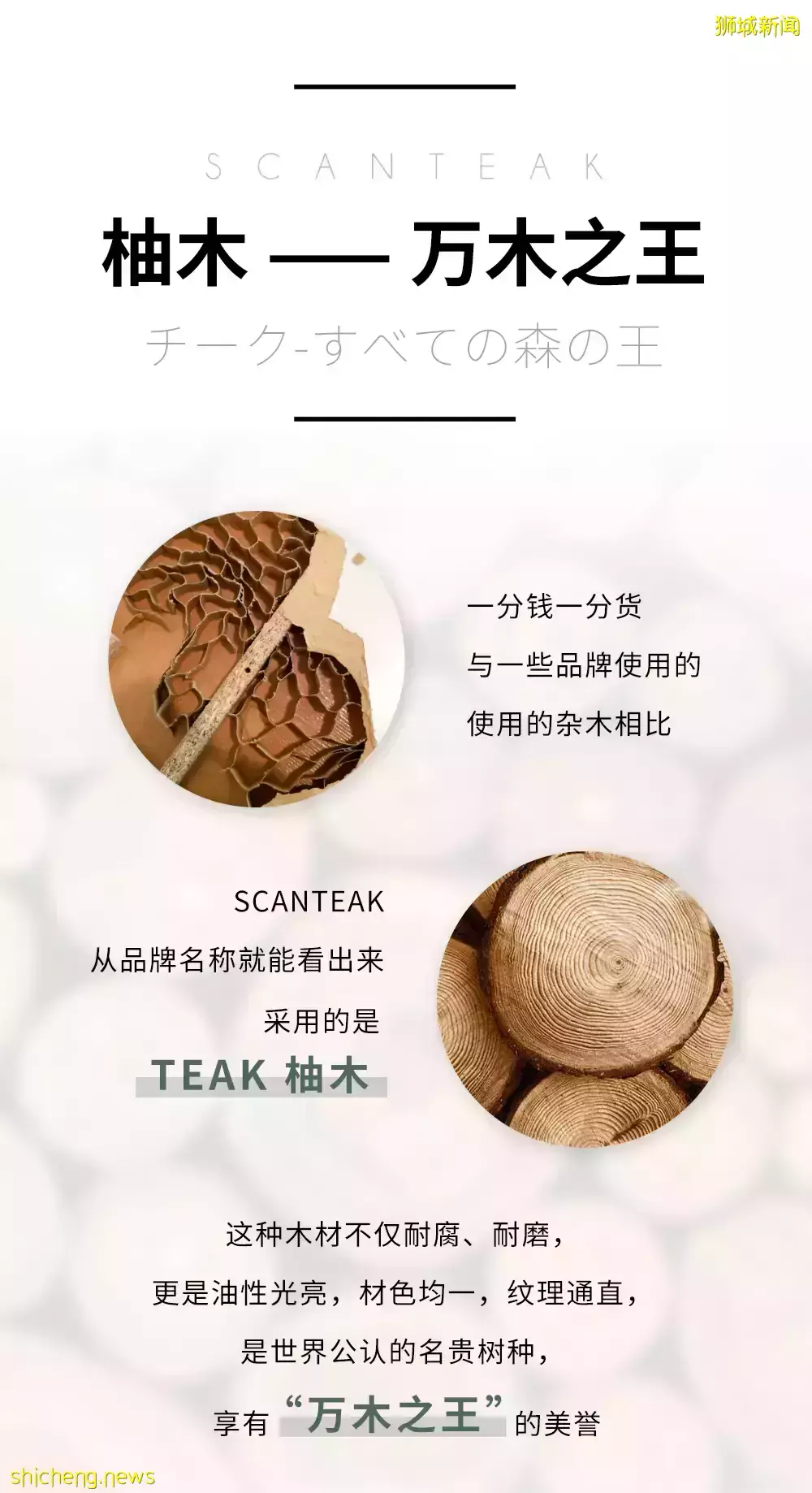 设计师实木家私，是如何提升你在新加坡的居家生活品质的