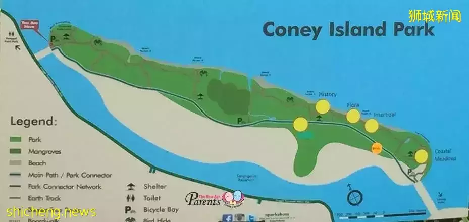 超级奶爸!带着2岁女儿骑行17小时166公里,环游新加坡