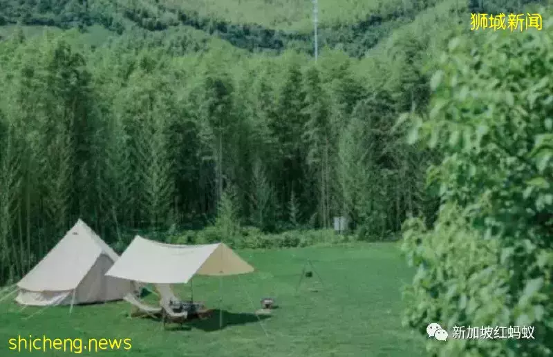 中港掀起豪華露營風　一晚850新元可能還訂不到