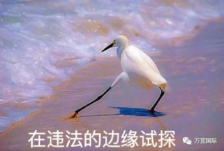 打小孩要坐牢？喂鸽子要罚款？嚼口香糖算违法？快看看新加坡还有啥奇奇怪怪的法律吧