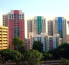 因疫情被困新加坡，歸國無望又遭電子詐騙，慘