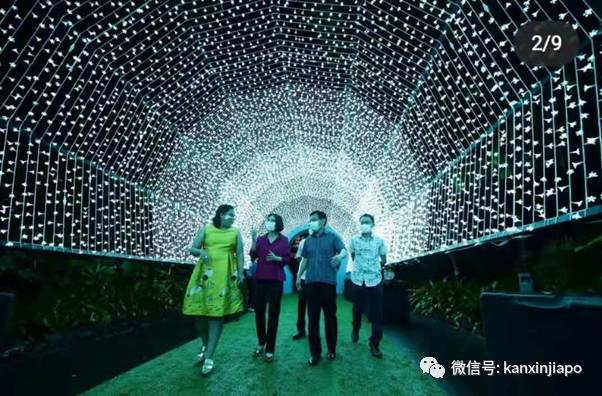 必去的圣诞仙境!一秒穿越奇幻,从新加坡到北极