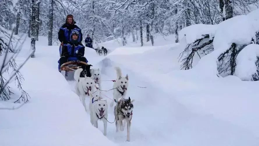 芬蘭看極光、韓國賞櫻花、環遊歐洲……在新加坡請8天假換一場環球旅行