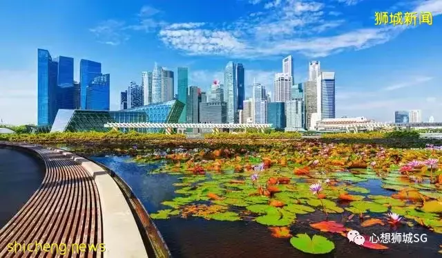 心想狮城 新加坡房产外国人新房购买量环比增长136%