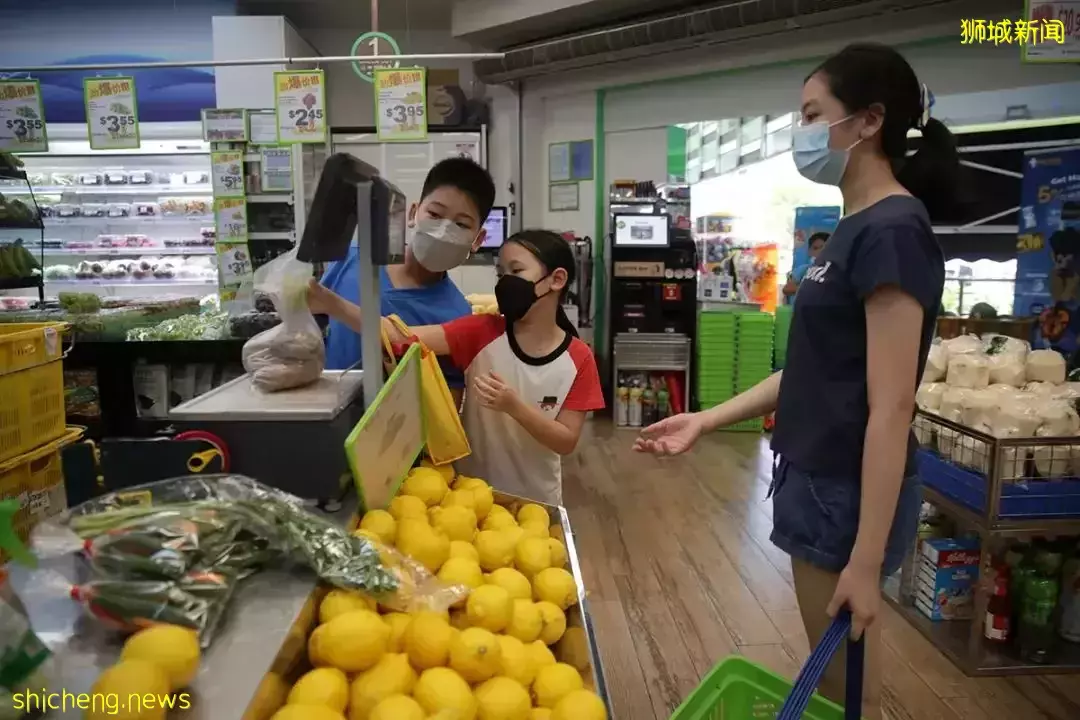 在新加坡養8個孩子，一周只花$300！沒有女傭，日子到底過得怎麽樣