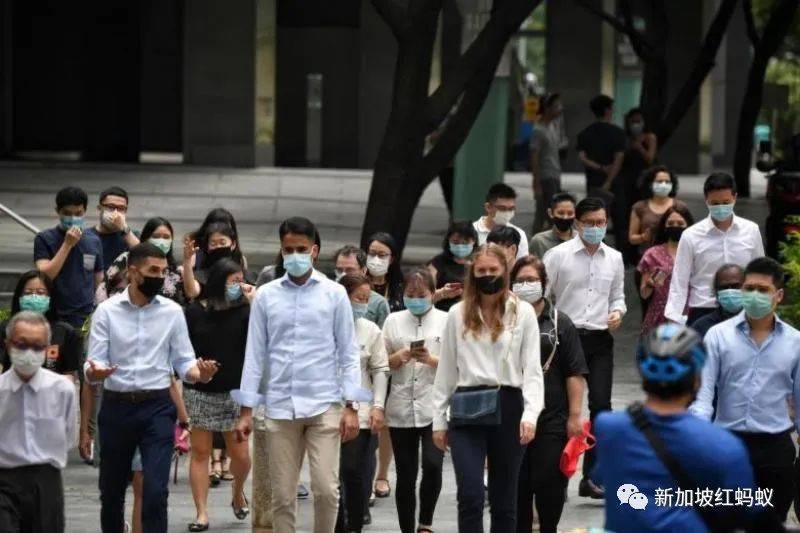 你的薪資有受影響嗎？　明年四分之一新加坡公司計劃凍結薪金