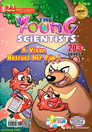 在中国红到出现“盗版”的英文少儿读物，原来出自新加坡