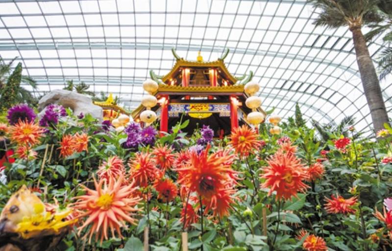 新加坡鼠年春节，这个年味十足的地方你一定不能错过