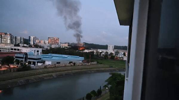 痛心!中国籍客工大火中重伤不治,临终前与家人视频告别