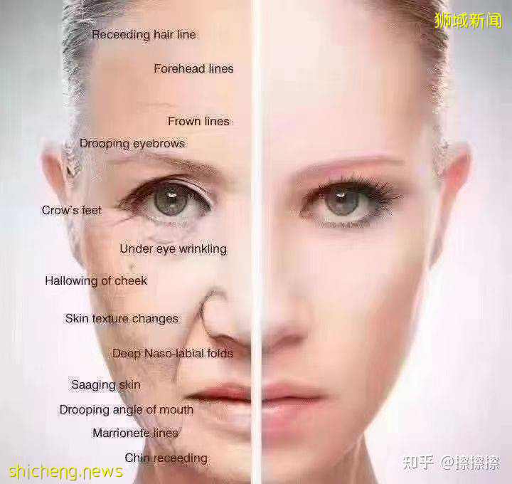 超好用的防晒大盘点，选择最适合你的那一款 