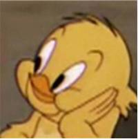 幹貨 國大 Special Term 詳解