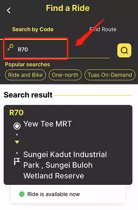 下水抓蛙、摘菜摸鱼、开土摩托……我带娃体验了一把新加坡的农家乐