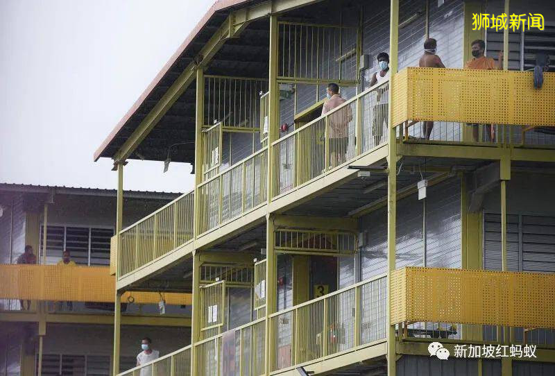 趕在8月7日完成所有客工宿舍冠病檢測　新加坡5天來單日病例激增