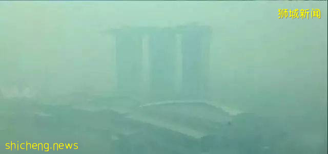 移民新加坡3年後,我居然成了這樣