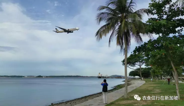 常见问题解答：前往新加坡以及游客如何获得疫苗接种身份的认可